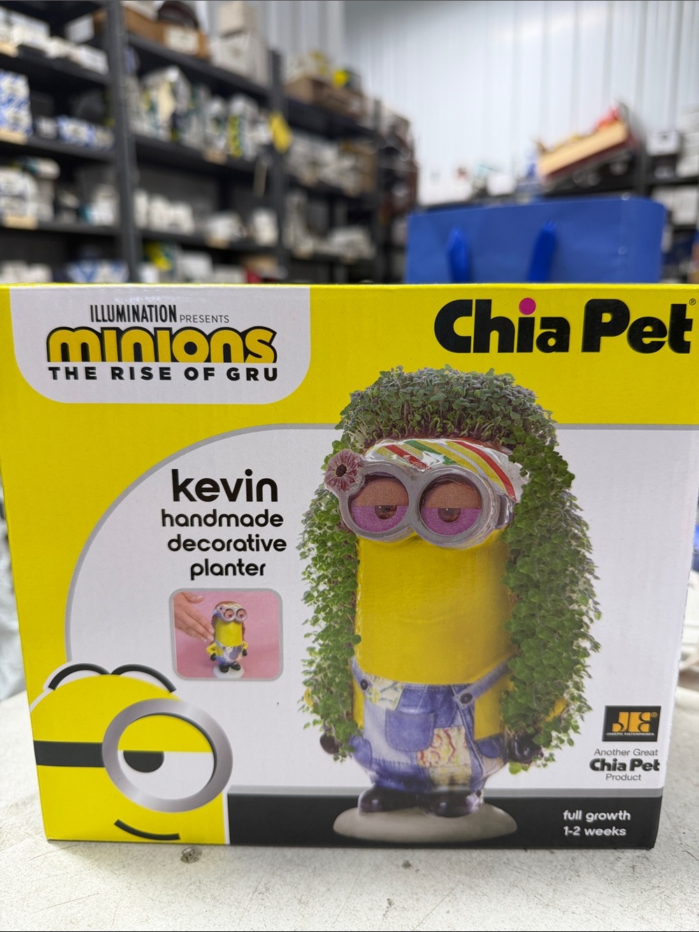 Chia Pet® Kevin Handmade Decorative Planter - Yellow with Green Chia
